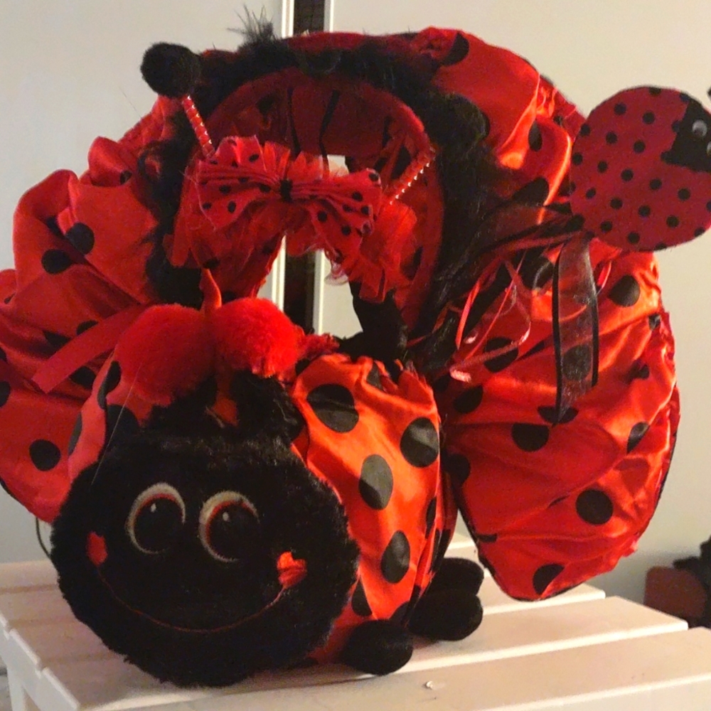 Ladybug costume accessories and candy bucket